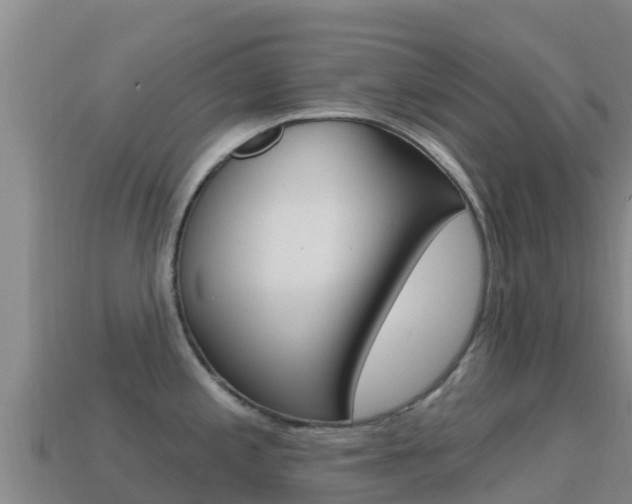 X0000114631197200910201015