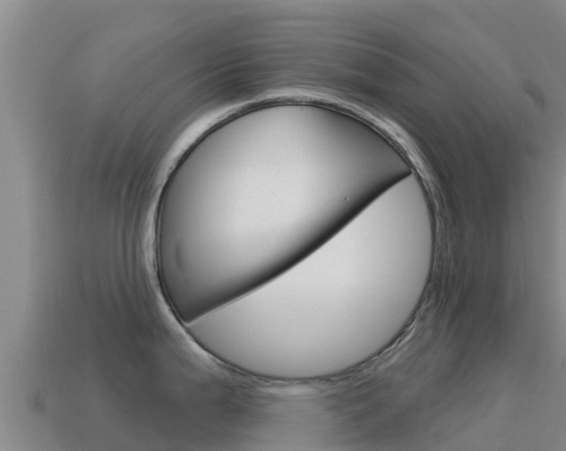 X0000114631199200910201015