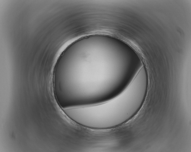X0000114631200200910201015