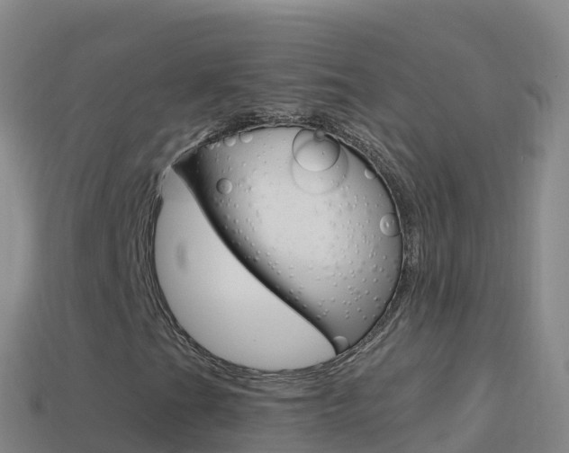 X0000114631201200910201015