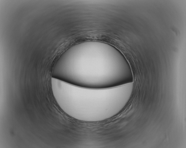 X0000114631202200910201015