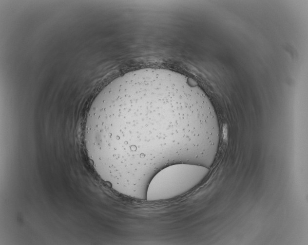 X0000114631203200910201015