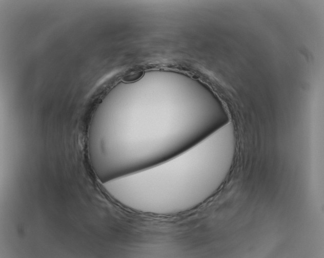 X0000114631206200910201015