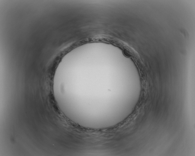 X0000114631207200910201015