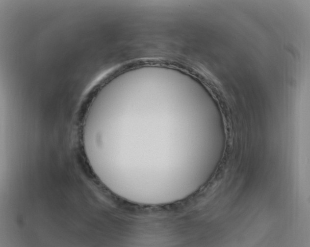 X0000114631208200910201015