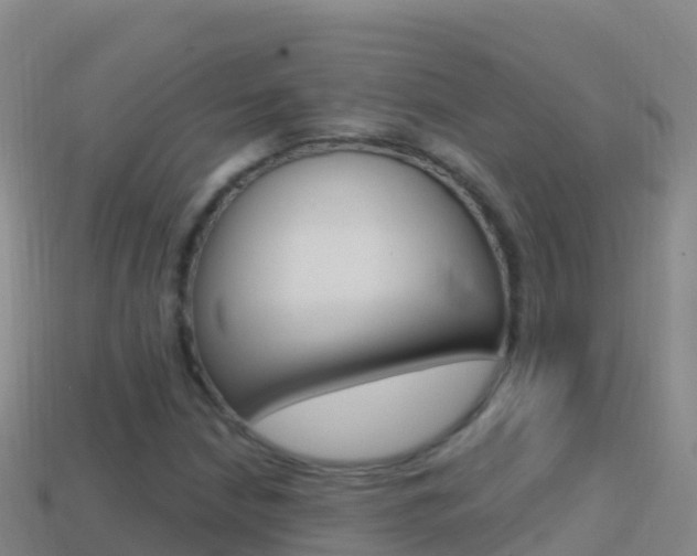X0000114631210200910201015