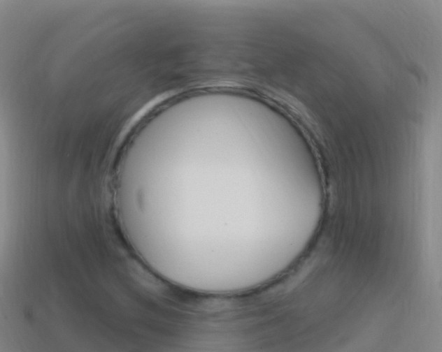 X0000114631212200910201015