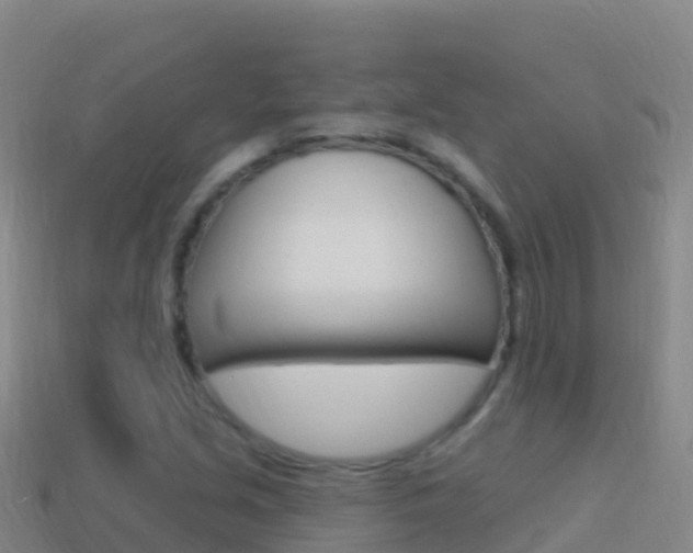 X0000114631213200910201015