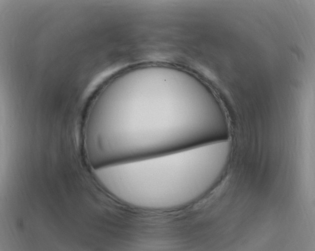 X0000114631214200910201015