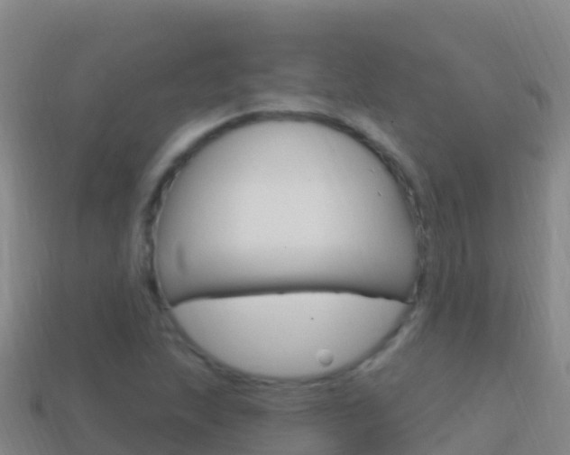 X0000114631215200910201015