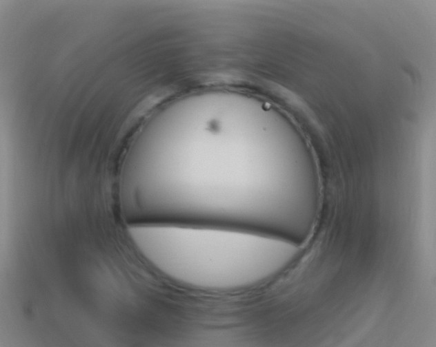 X0000114631217200910201015