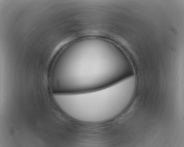 X0000114631218200910201015