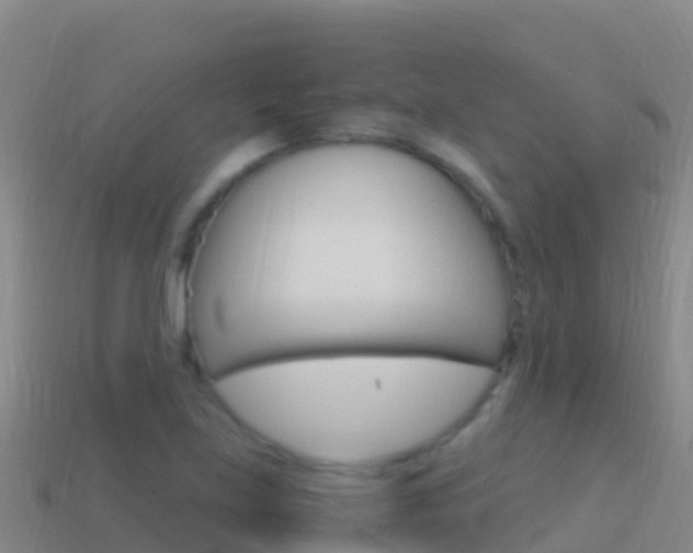 X0000114631219200910201015