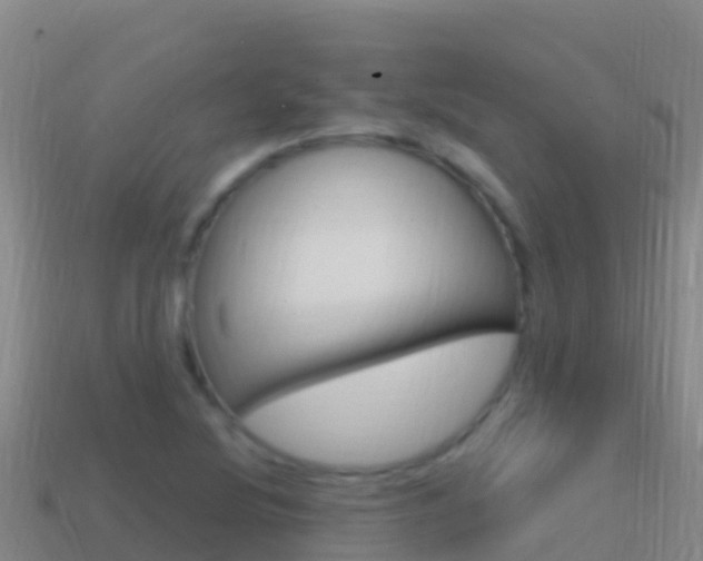 X0000114631220200910201015