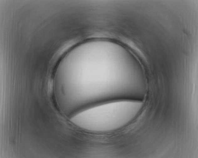 X0000114631221200910201015