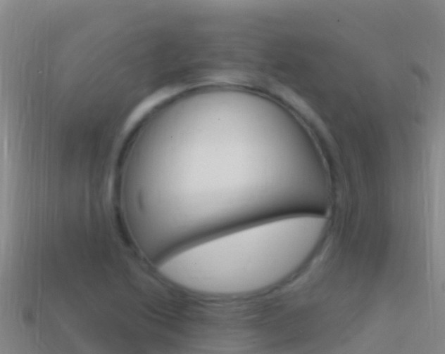 X0000114631222200910201015
