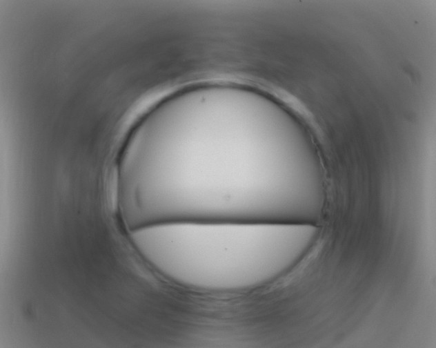 X0000114631223200910201015