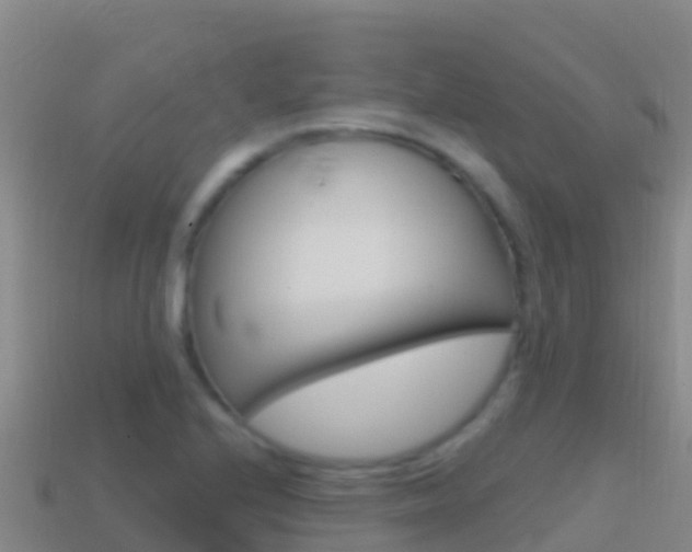 X0000114631224200910201015