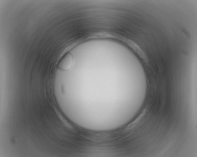 X0000114631225200910201015