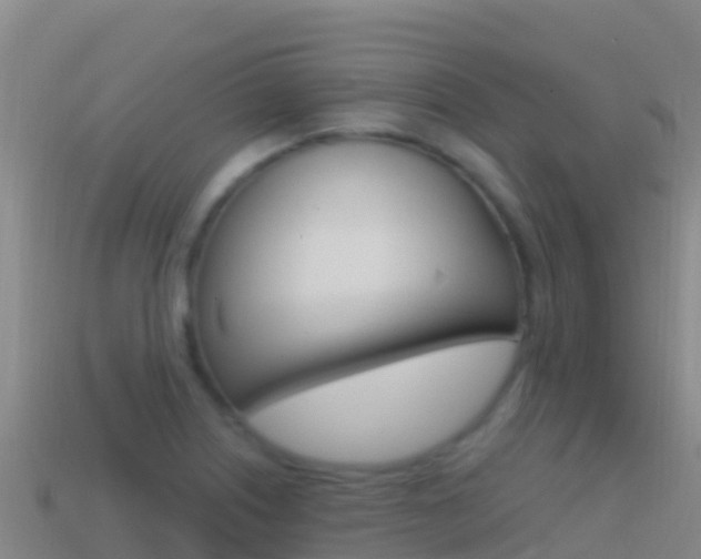 X0000114631226200910201015