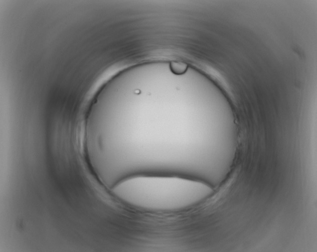 X0000114631227200910201015