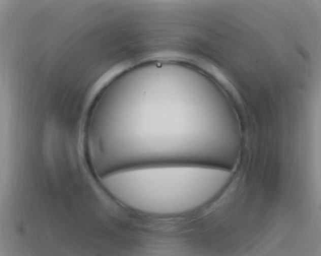 X0000114631229200910201015