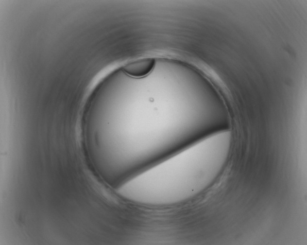 X0000114631230200910201015