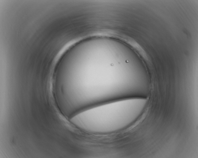 X0000114631232200910201015