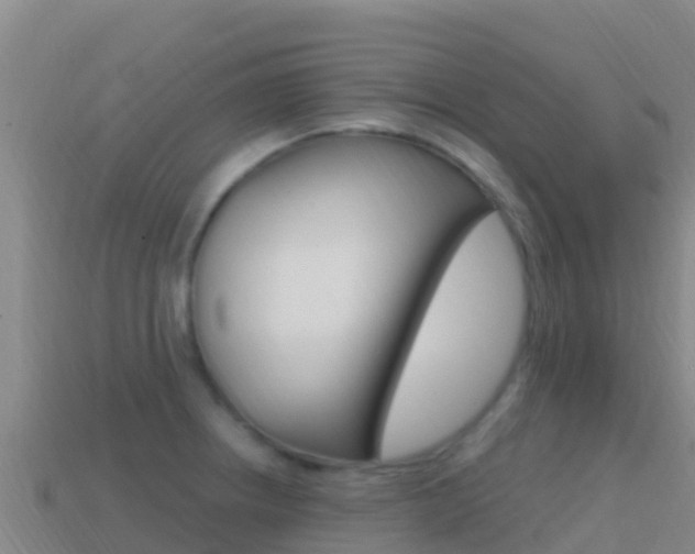 X0000114631234200910201015