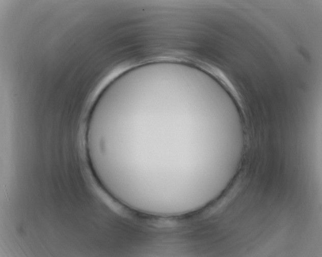 X0000114631235200910201015