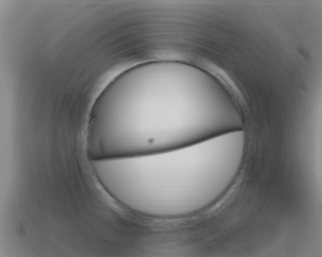 X0000114631236200910201015