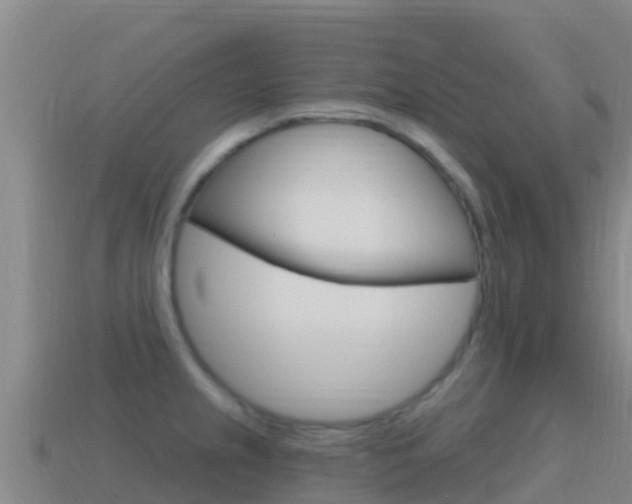 X0000114631237200910201015