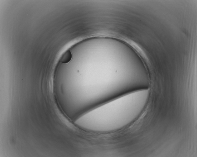 X0000114631238200910201015