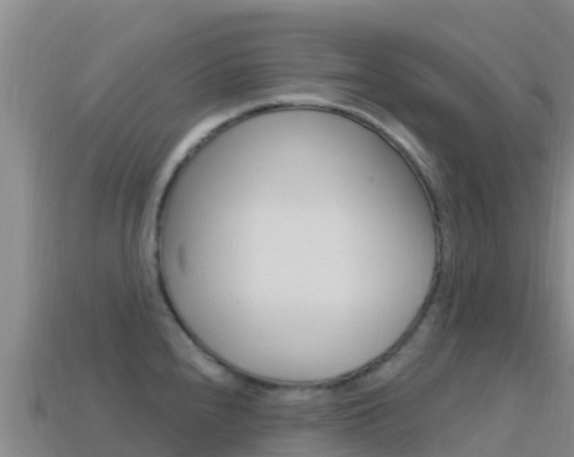 X0000114631240200910201015