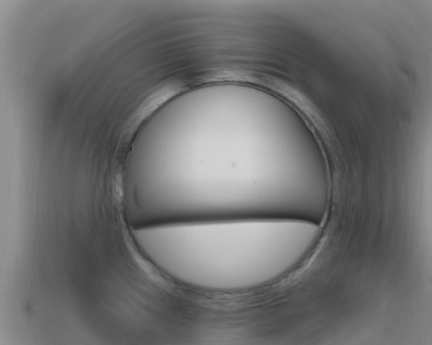 X0000114631241200910201015