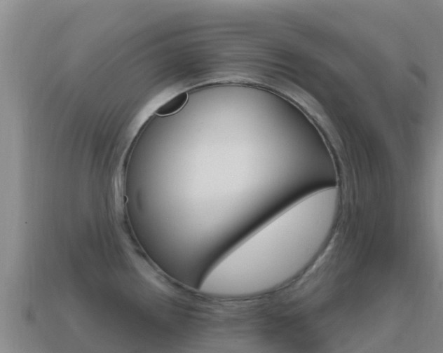 X0000114631242200910201015