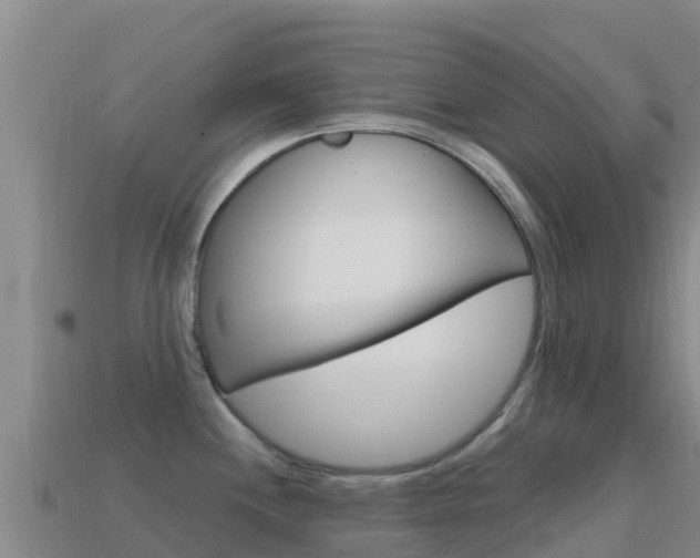 X0000114631244200910201015