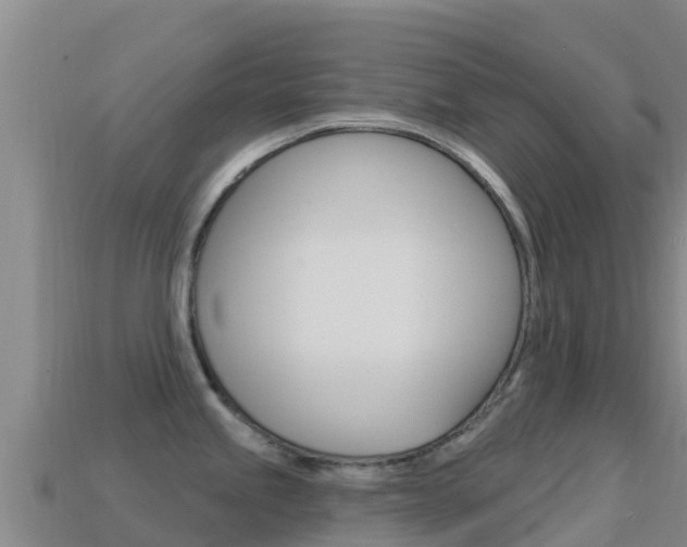 X0000114631245200910201015