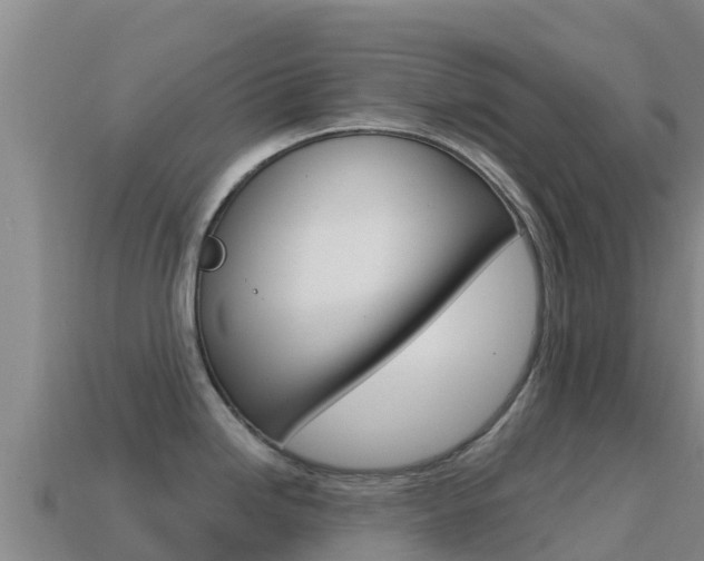 X0000114631246200910201015