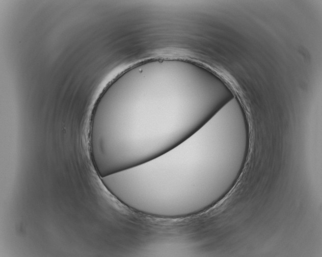 X0000114631248200910201015