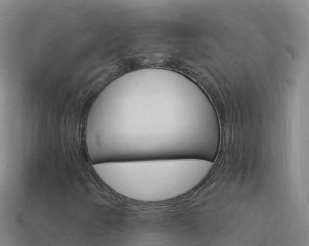 X0000114631250200910201015