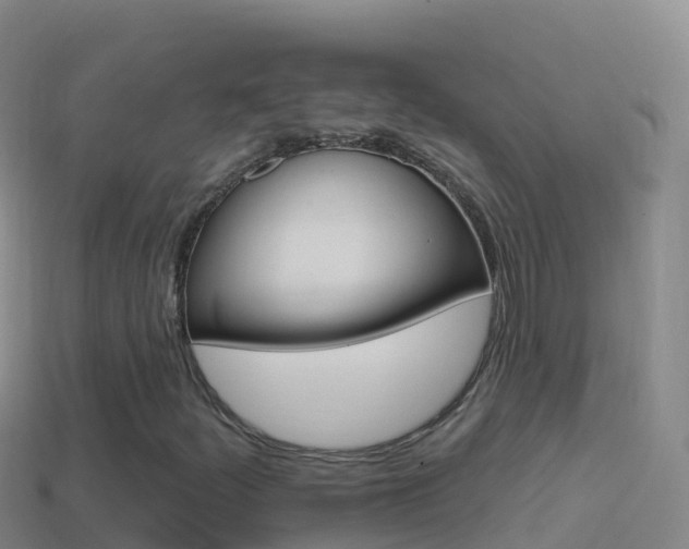 X0000114631252200910201015