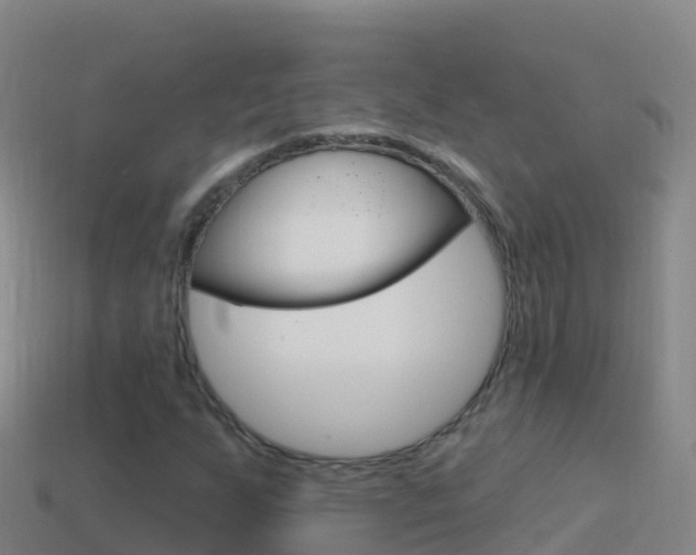 X0000114631255200910201015