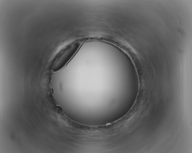 X0000114631256200910201015
