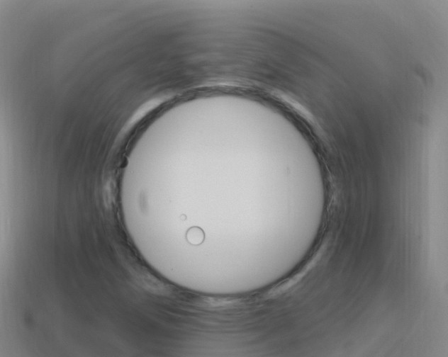 X0000114631258200910201015