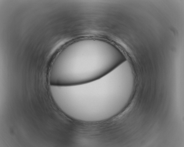 X0000114631259200910201015