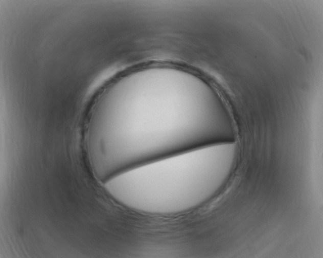 X0000114631263200910201015