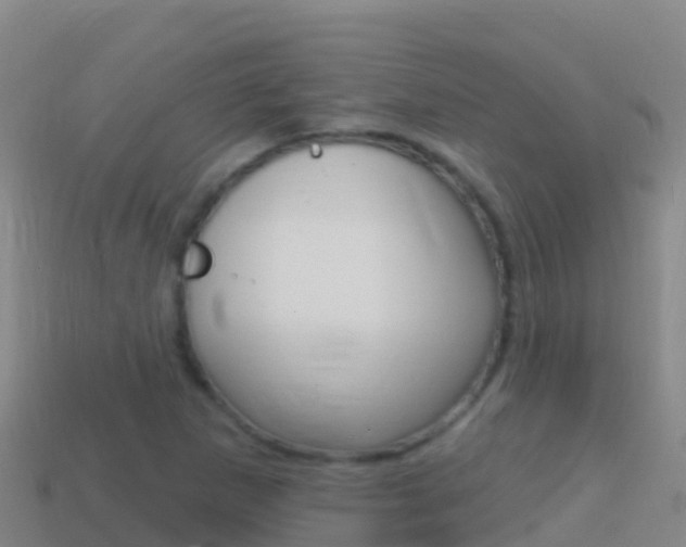 X0000114631265200910201015