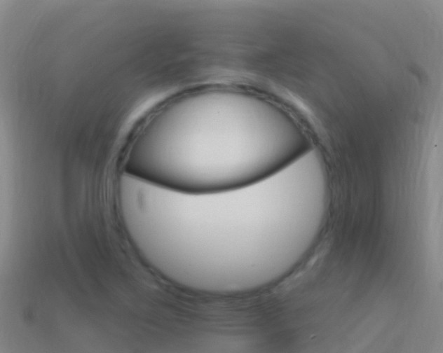 X0000114631267200910201015