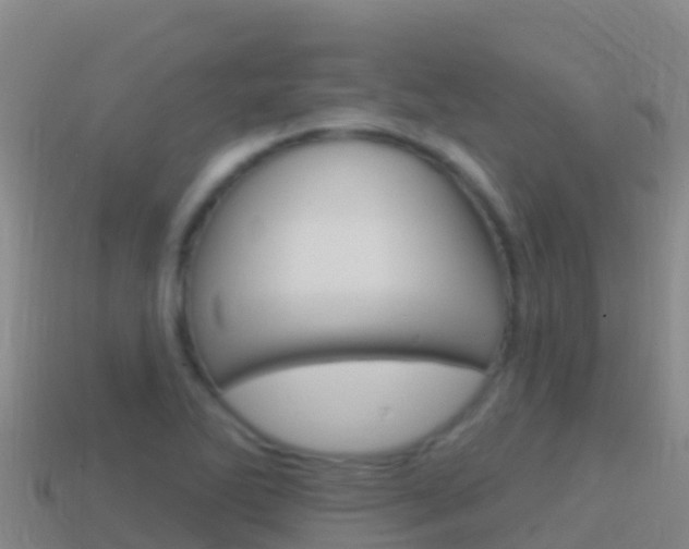 X0000114631270200910201015